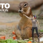 SalineeChot , เรียนโฟโต้ชอป , เรียน Photoshopฟรี