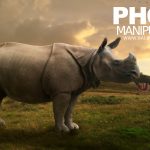 SalineeChot , เรียนโฟโต้ชอป , เรียน Photoshopฟรี