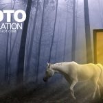 SalineeChot , เรียนโฟโต้ชอป , เรียน Photoshopฟรี
