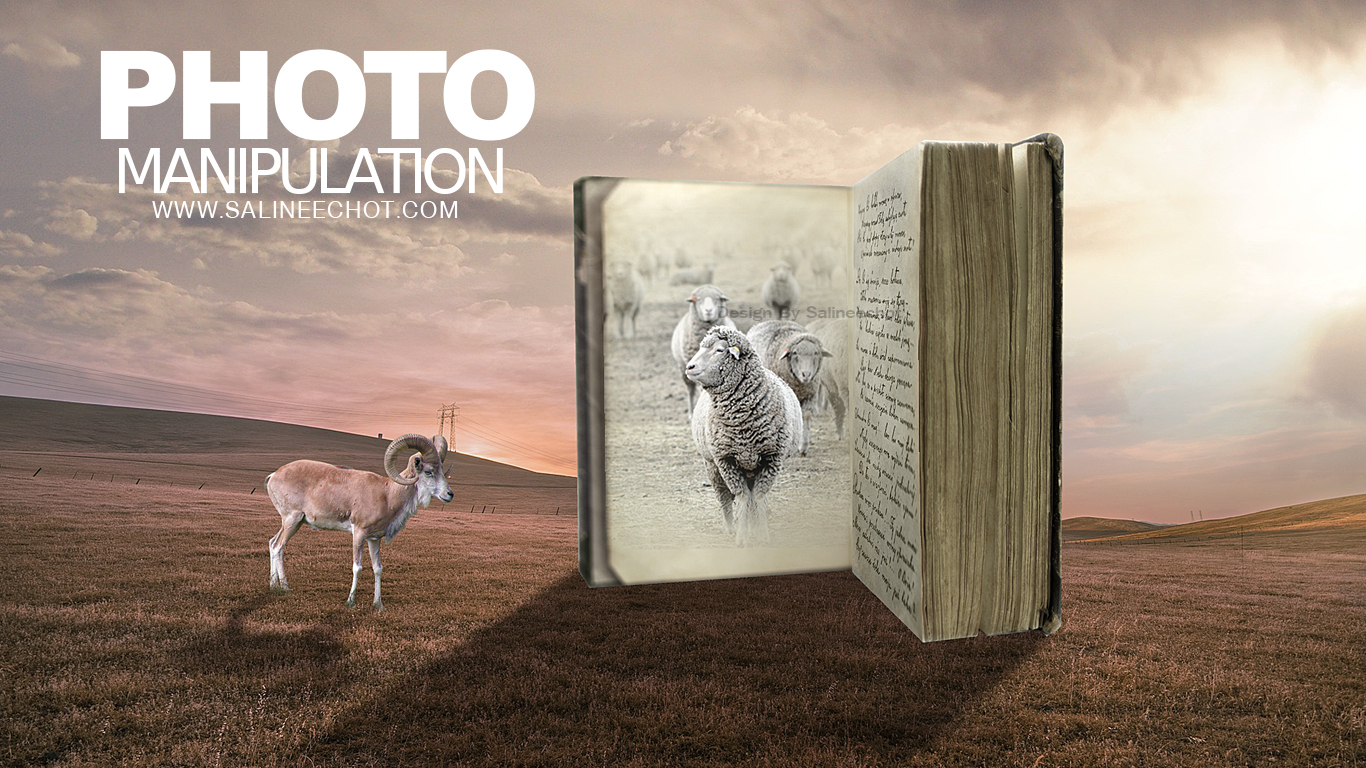 EP174-เรียน-Photoshopฟรี-ตัดต่อภาพ-กับ-SalineeChot