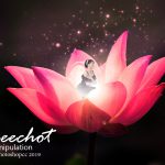 Photo-manipulation,salineechot