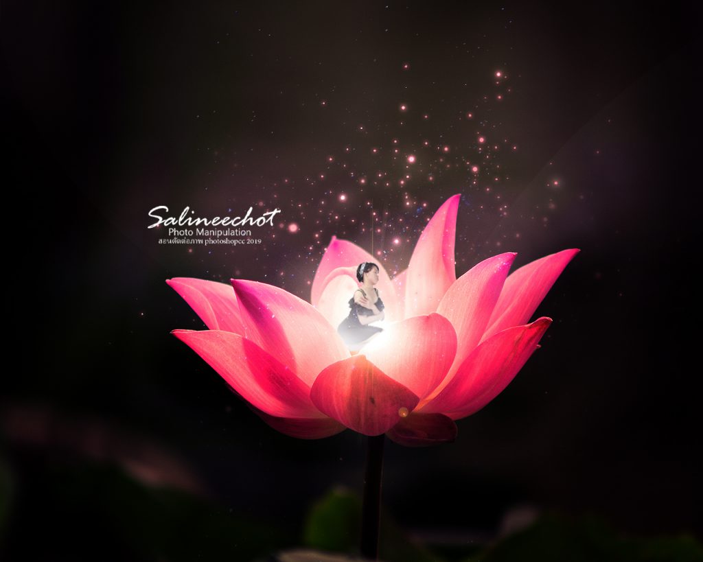 Photo-manipulation,salineechot