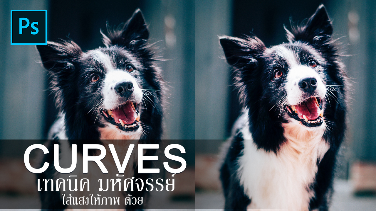 เทคนิค-มหัศจรรย์-ใส่แสงให้ภาพ-ด้วย-CURVES-in-Photoshop