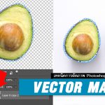 Vector Mask , เทคนิคการตัดภาพ , Photoshop