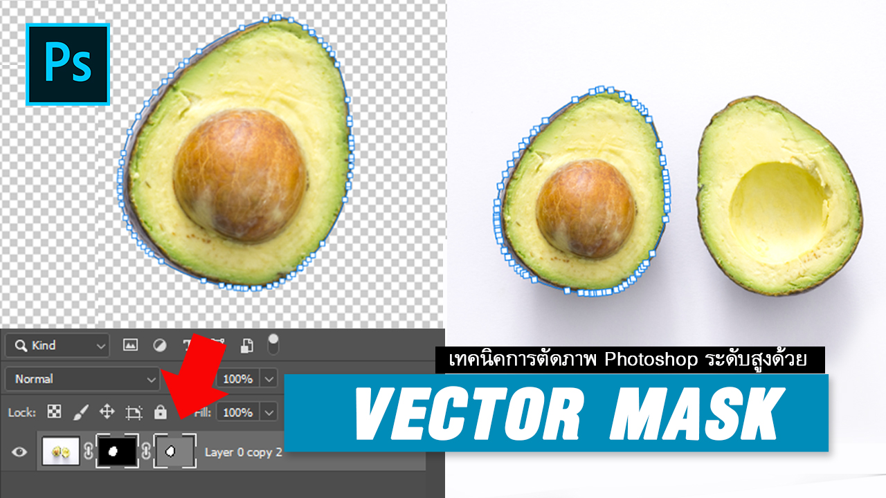 เทคนิคการตัดภาพ-Photoshop-ขั้นสูงด้วย-Vector-Mask