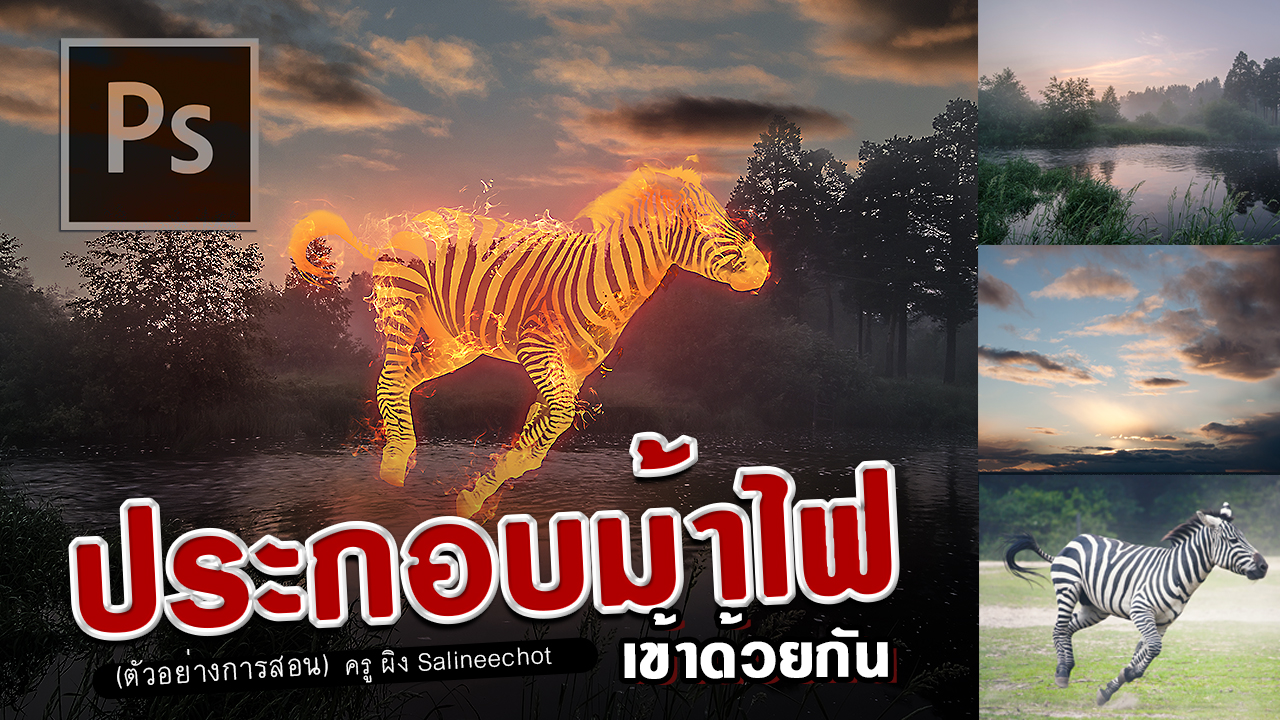 EP308-นำม้าลายไฟประกอบฉากหลัง-photoshopcc2020