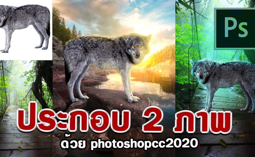 EP310 แต่งภาพPhotoshopcc2020  ประกอบหมาป่า 2 ภาพ