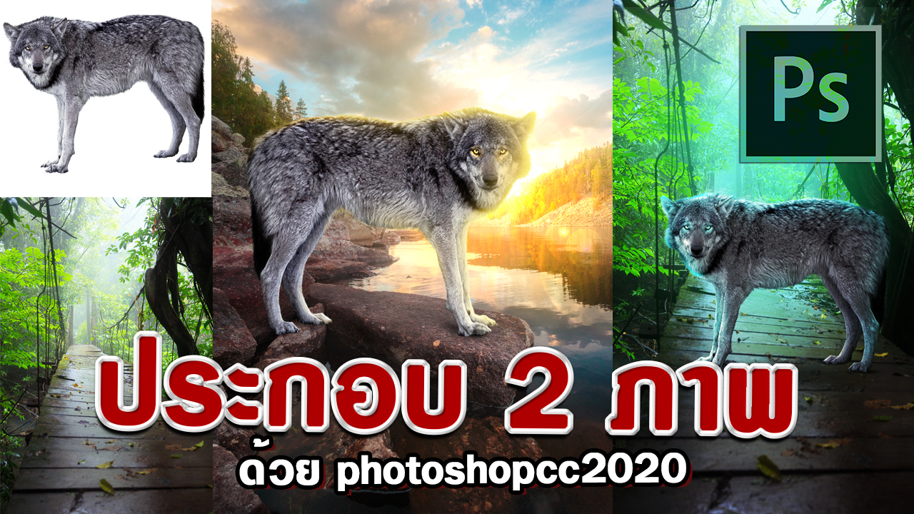 EP310-แต่งภาพPhotoshopcc2020–ประกอบหมาป่า-2-ภาพ-ให้เข้ากันแบบกลืนๆ