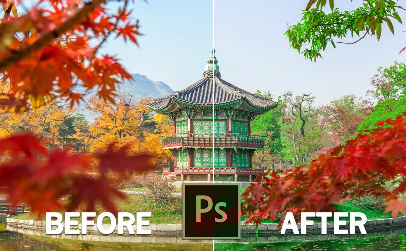 EP332เปลี่ยนสีใบไม้จากเหลืองให้เป็นเขียน ง่ายๆด้วย Photoshopcc2020