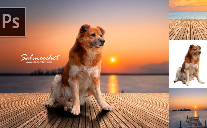 EP362 ประกอบภาพ ให้เนียน ด้วย photoshopcc2020