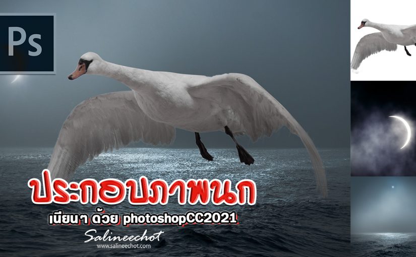 EP391 ประกอบนกกลางคืนด้วย photoshopcc2021