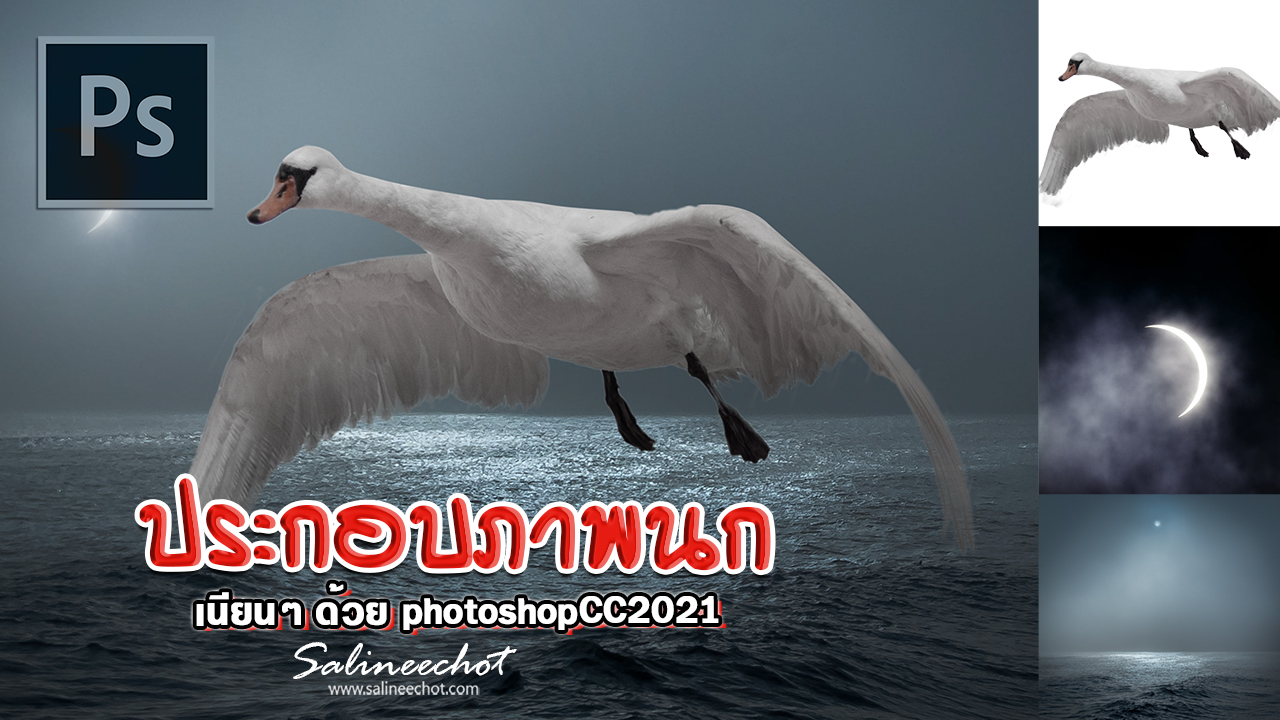 EP388 -1สอนประกอบภาพนก photoshopcc2021
