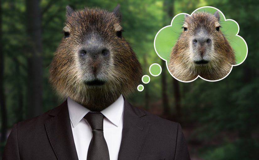 EP429 มาใส่สูทให้น้อง Capybara (คาปิบาร่า) กัน ด้วย photoshop2023