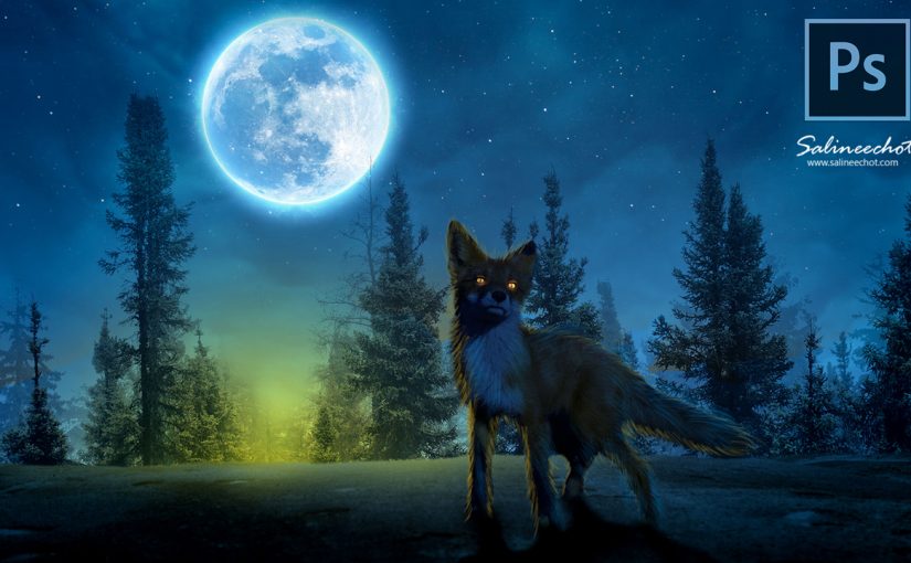 EP441 เทคนิคการประกอบภาพ The fox in the night full moon ด้วย photoshop2023