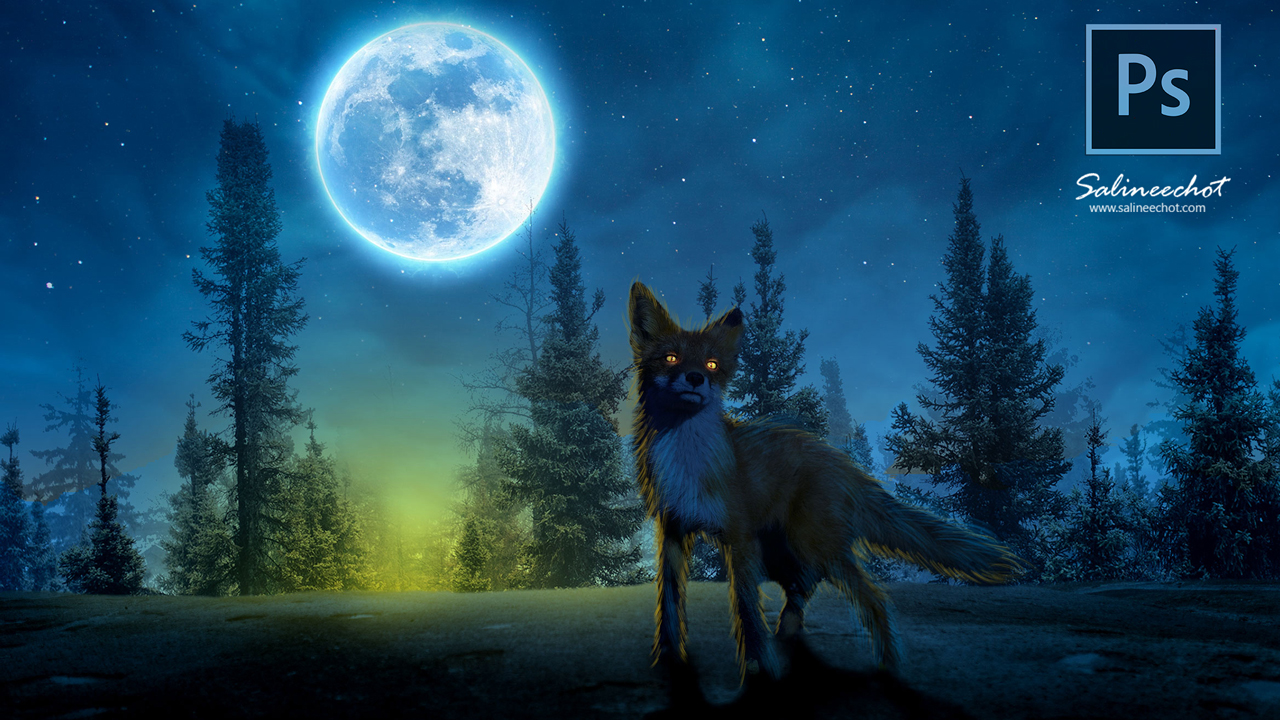 EP441-เทคนิคการประกอบภาพ-The-fox-in-the-night-full-moon-ด้วย-photoshop2023